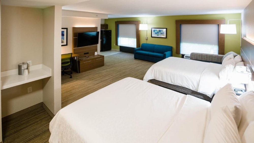 Holiday Inn Express Hotel & Suites Knoxville-Farragut Image 6